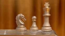 Юные шахматисты из Ставрополя взяли золото и серебро чемпионата СКФО