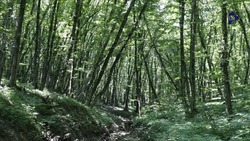 Экоакция «Марафон зелёных дел» стартовала на Ставрополье