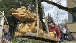 Декоративную стенку «Дельфины» восстанавливают в Ставрополе 