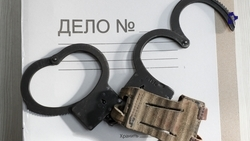 Жителей Ставрополья обвиняют в участии в афере с маткапиталами на 75 млн рублей