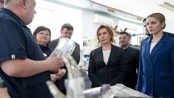 Вице-спикер Совфеда обсудила реабилитацию участников СВО на Ставрополье