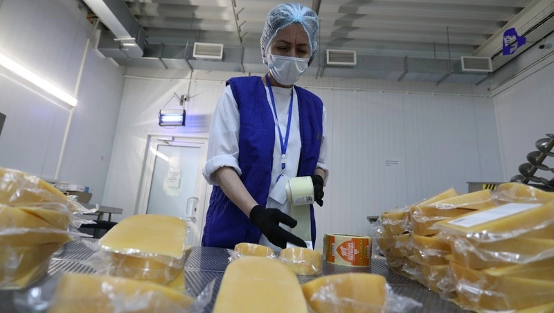 На Ставрополье число малых и средних предприятий выросло на 15%