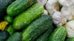Ярмарки выходного дня состоятся 22 июня в Ставрополе 