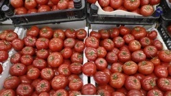 Ярмарку к Яблочному и Медовому Cпасу организуют в Ставрополе 17 августа