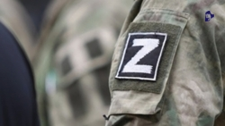 Восемь участников спецоперации трудоустроили на Ставрополье с начала года