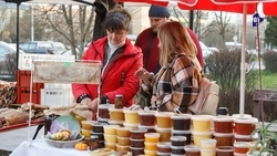 Восемь масленичных ярмарок пройдёт в Ставрополе с 14 по 22 февраля