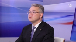 Глава Ставрополья о минувших морозах: Пик температур прошли штатно