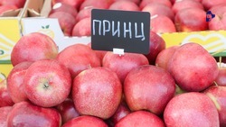 На Ставрополье выберут лучшие продовольственные бренды