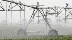 Площади мелиорации нарастили на Ставрополье в шесть раз