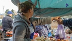 Ярмарки выходного дня пройдут в Ставрополе 20–21 декабря