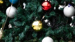 В Ставрополе, Пятигорске и Будённовске пройдут благотворительные ёлки для детей
