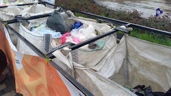 Ставропольцев приглашают принять участие в экологической акции