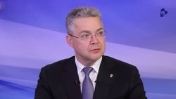 Глава Ставрополья: краевые предприятия нарастили производство мяса птицы на 6,8%