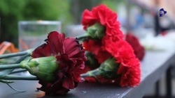 Голосование за проект мемориала в память об участниках СВО завершилось на Ставрополье