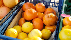 28 декабря в Ставрополе пройдёт праздничная ярмарка на площади 200-летия 