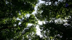 Более 3 тыс. школьников посетили фотовыставку «Заповедное Ставрополье»