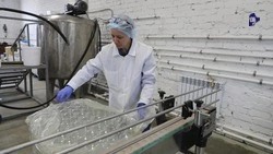 Четыре производства безалкогольных напитков запустят на Ставрополье