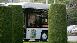 С начала года в Ставрополе запустили семь новых муниципальных маршрутов
