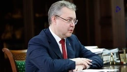 Губернатор Владимиров: Ставрополье лидирует по производству тепличных томатов