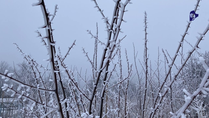 Глава Ставрополья поручил проверить готовность к приходу холодов