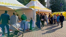 Жителей Ставрополя пригласили на две ярмарки, которые пройдут 4 мая