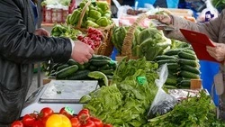Ещё пять ярмарок пройдёт в Ставрополе до конца января