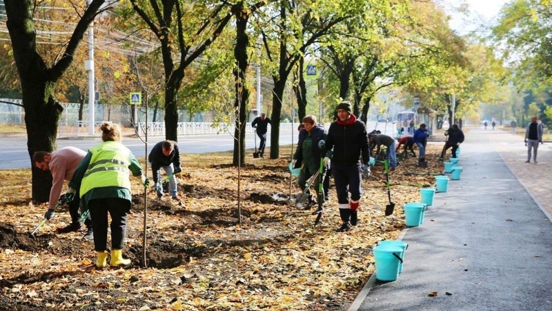Почти 850 деревьев высадили в Ставрополе в 2023 году