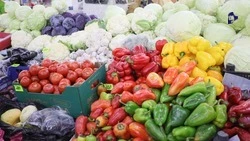 Традиционные ярмарки выходного дня пройдут в Ставрополе 8 июня