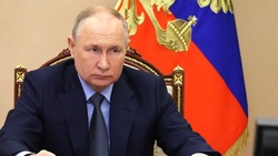 Сайт о кандидате в президенты Владимире Путине запустили в работу