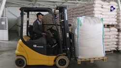 Экспорт в Саудовскую Аравию вырос на 43% в Ставропольском крае 