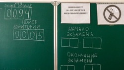 Учителя Ставрополья дают советы по подготовке к ЕГЭ в госпабликах