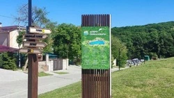 Около 30 специалистов поддерживают чистоту Комсомольского пруда в Ставрополе