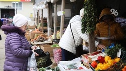 На двух улицах Ставрополя пройдут ярмарки 16 марта 