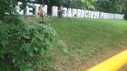 В Ставрополе выкосили траву на 400 га земли