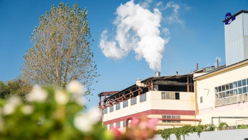 Ставропольские производители нарастили выпуск сладостей на 14,3%