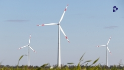 Четыре регпроекта реализуют на Ставрополье для развития экономики 