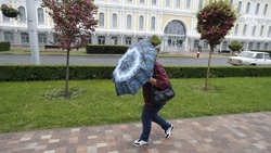 Природу ветров в Ставрополе объяснили в краевом Гидрометцентре