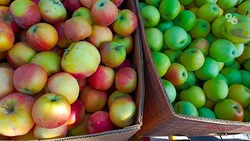 Две ярмарки с местной продукцией организуют для ставропольцев в субботу