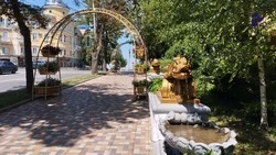 Новые скульптуры дельфинов установят в центре Ставрополя