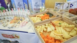 3,5 тыс. тонн сыров произвели на Ставрополье в 2025 году