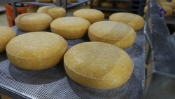 Производство продуктов питания выросло на Ставрополье на 12%