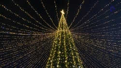 Ставропольцев приглашают поучаствовать в новогоднем фотоконкурсе