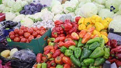 Ярмарка с товарами местных производителей пройдёт в Ставрополе 24 августа 