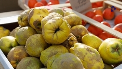 Традиционные ярмарки выходного дня пройдут в Ставрополе 22 и 23 ноября 