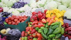 Ставропольцы смогут купить продукты у местных производителей 13 июля