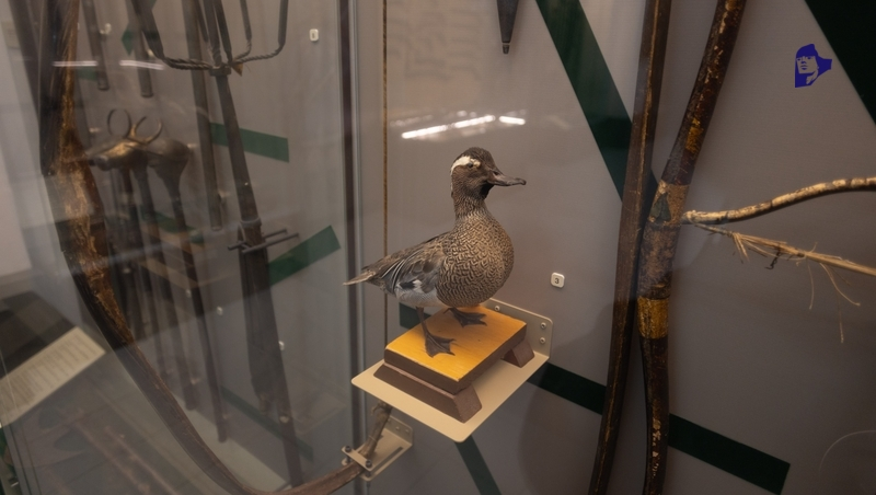 Шесть музеев модернизируют на Ставрополье в 2026 году