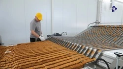 На Ставрополье производство сладостей выросло до 4,2 тыс. тонн с начала года