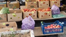 Продовольственные ярмарки пройдут 16 и 17 мая в Ставрополе