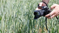 Конкурс фотографий «Летний Ставрополь» стартовал в краевом центре