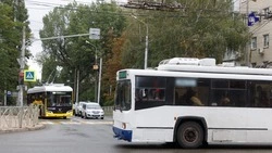 Свыше 200 тыс. ставропольцев ежедневно пользуются общественным транспортом